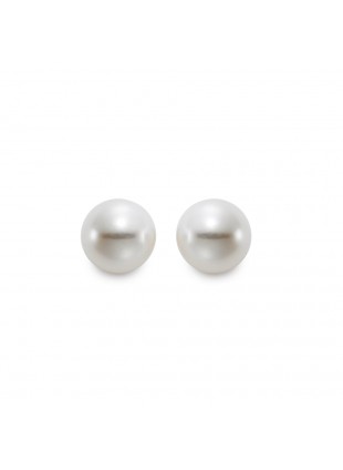 Ladies 14 Karat Yellow Gold Cultured Pearl Stud Earrings. 8-8.5mm "A" Quality